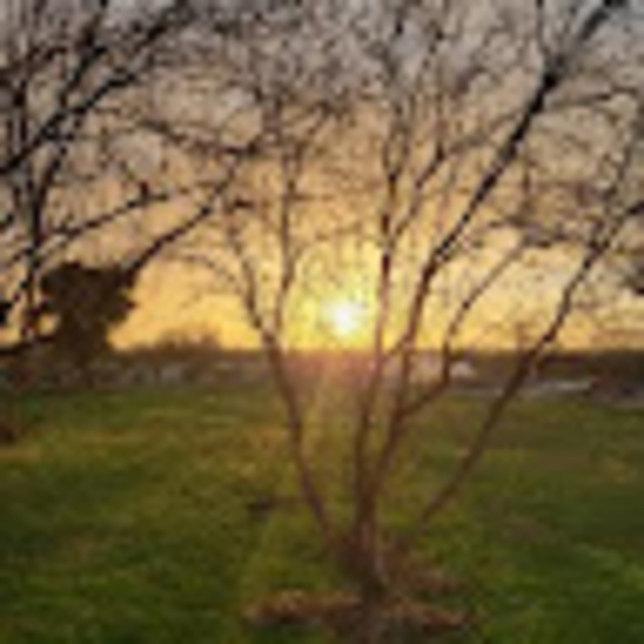 Meet your Posher, Jeremy - Picture 1 of 1